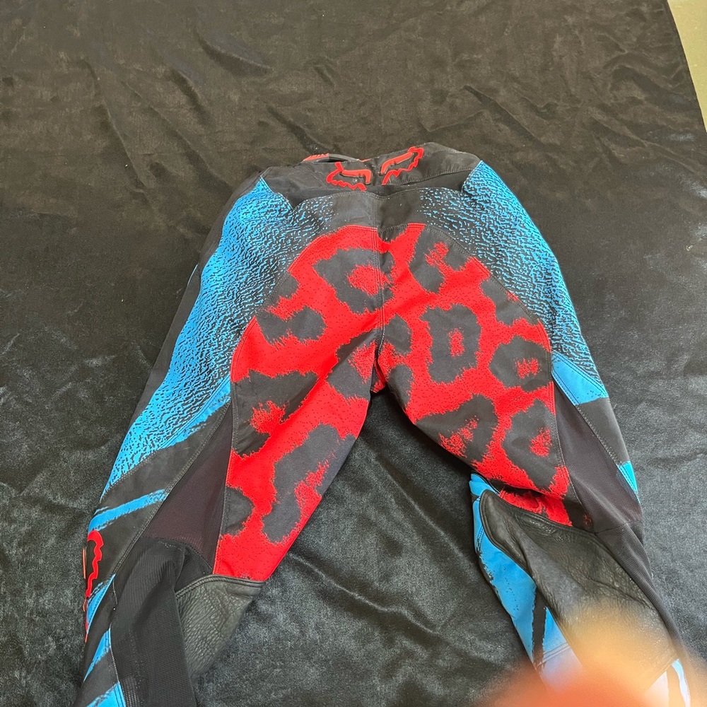 Dirt bike pants! Excellent condition